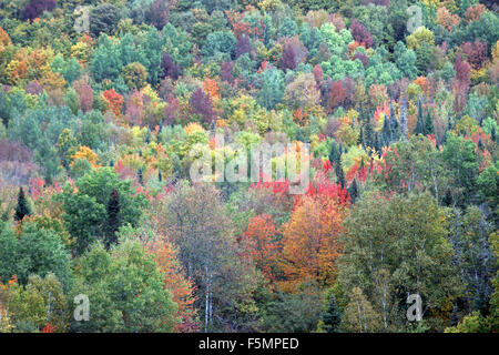 Fall Foliage Androscoggin River Coos County New Hampshire New England USA Stock Photo