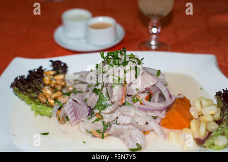 Chilean ceviche (Sea bass), Santiago, Chile Stock Photo