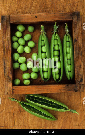 Three fresh green pods of peas split open to reveal their contents lying in wooden box next to loose peas and empty pods Stock Photo