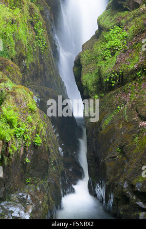 Famous Aira Force waterfall on Aira Beck river in Lake District, Cumbria, Great Britain Stock Photo