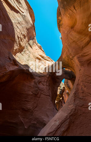 Arches eroded in narrow, red sandstone Peekaboo Canyon Grand Staircase-Escalante Stock Photo
