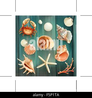 Seashells, set vector icons Stock Vector