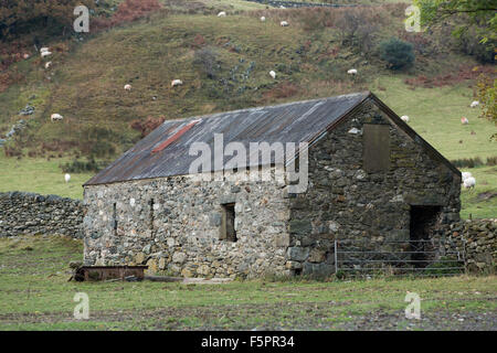 Old stone barn tucked away in the corner of  field. Sheep grazing on the steep hill behind. Stock Photo