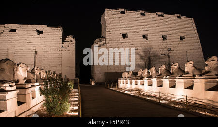 Ancient egyptian temple of Karnak in Luxor lit up at night during the sound and light show Stock Photo