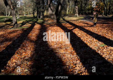 Berlin, Germany. 8th Nov, 2015. A woman plays with leaves at a forest park in Berlin, Germany, on Nov. 8, 2015. Credit:  Zhang Fan/Xinhua/Alamy Live News Stock Photo