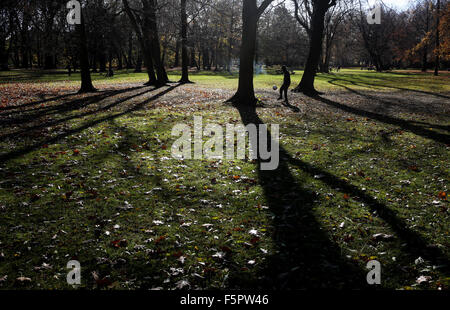 Berlin, Germany. 8th Nov, 2015. A man plays football at a forest park in Berlin, Germany, on Nov. 8, 2015. Credit:  Zhang Fan/Xinhua/Alamy Live News Stock Photo