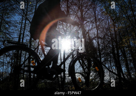 Berlin, Germany. 8th Nov, 2015. A man rides a bicycle through a forest park in Berlin, Germany, on Nov. 8, 2015. Credit:  Zhang Fan/Xinhua/Alamy Live News Stock Photo