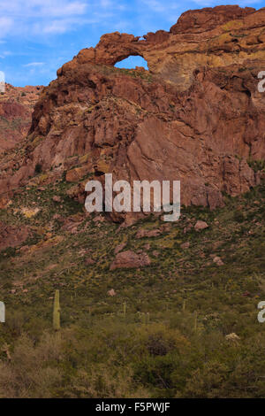 Saguaro Cactus and a rock arch at Organ Pipe National Park, Arizona USA ...