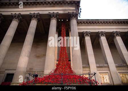Liverpool, UK. 08th Nov, 2014. The Weeping Window at Liverpool's St George's Hall. Created by artists Paul Cummins and Tom Piper, it is a small part of the Tower of London artwork that marked 100 years since the start of World War One and drew more than five million visitors last year. Credit:  Martin Waters/Alamy Live News Stock Photo