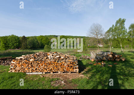 Stacked wood in the countryside. Springtime in the country, morning lit and the pile of wood ready to use. Stock Photo