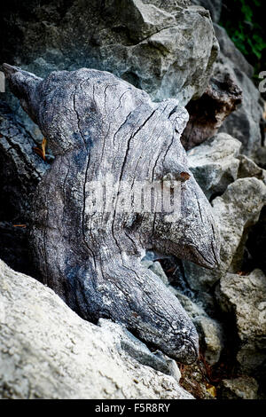 Rocks with cracked service near the Lac de Sainte-Croix in the Provence, France Stock Photo