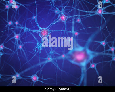 Neural network , Brain cells , Human nervous system Stock Photo