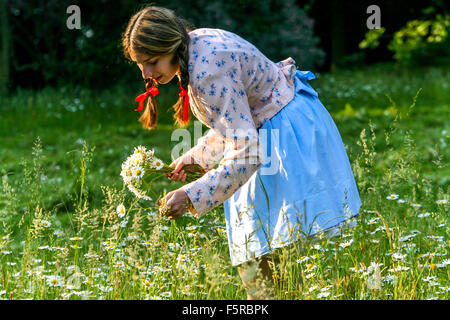 Young Woman Plucks Daisies Girl Plucking Flowers in Meadow Traditional Folk Costume Moravia Czech Republic Female Folk Dress One Person Dressed Stock Photo