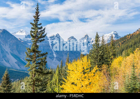 Fall colour, Valley of the Ten Peaks,, Banff National Park, Alberta, Canada, Stock Photo