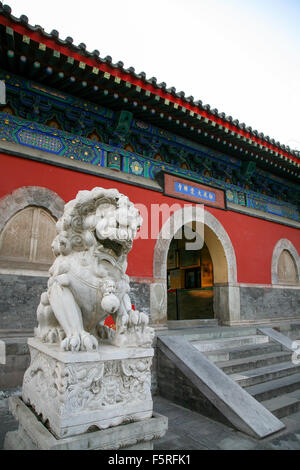 huge white lion stone sculpture on the gate of a Chinese temple Stock Photo