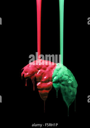 Studio shot of red and green paint poured over a model human brain Stock Photo