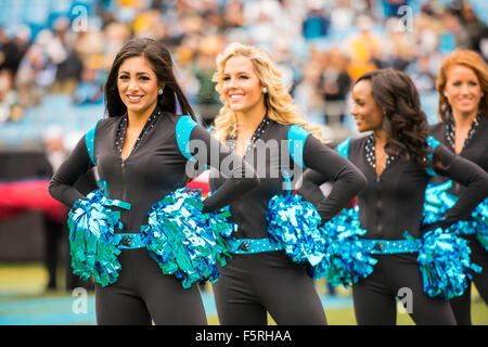 Carolina panthers topcats cheerleaders during hi-res stock photography and  images - Alamy