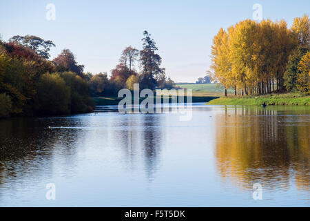 Tranquil scene with sunlit autumn trees reflected in River Tweed. Kelso, Berwickshire, Scottish Borders, Scotland, UK, Britain Stock Photo