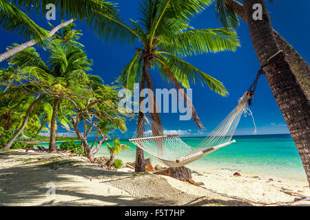 Empty hammock in the shade of palm trees on tropical Fiji Islands Stock Photo