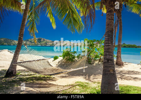 Hammock in the shade of palm trees on a tropical beach Stock Photo