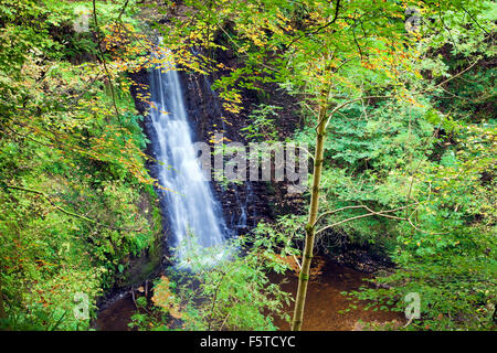 Falling Foss waterfall  Sneaton Forest North York Moors national park North Yorkshire UK Stock Photo
