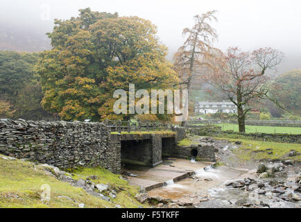 Misty day at Tilberthwaite in the English Lake District, Cumbria. Stock Photo