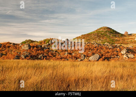 Autumn colours on Rannoch Moor Stock Photo