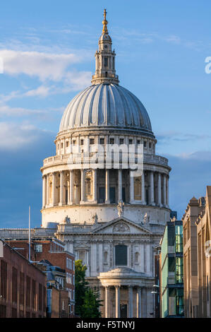 St Pauls cathedral dome in the evening City of London England UK GB EU Europe