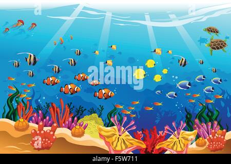 A vector illustration of marine underwater scene Stock Vector