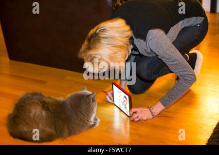 woman showing tablet computer to cat, Canada, Ontario Stock Photo