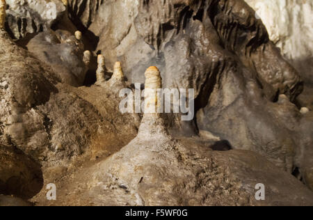 Unique calcite Poached Egg stalagmites, Poole's Cavern, Buxton, Derbyshire Peak District, England UK Stock Photo