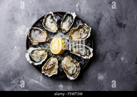 Opened Oysters Fines de Claire on plate on gray concrete texture background Stock Photo