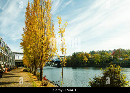 Fremont Bridge seen from the side of the Fremont Cut, Seattle Washington, North America USA Stock Photo