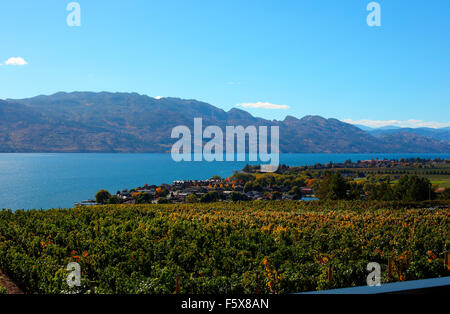 Okanagan region, wine growing region in canada. Stock Photo