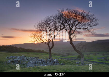 View towards Ingleborough Hill from Smearsett Scar near Settle, Yorkshire Dales National Park, North Yorkshire, UK Stock Photo