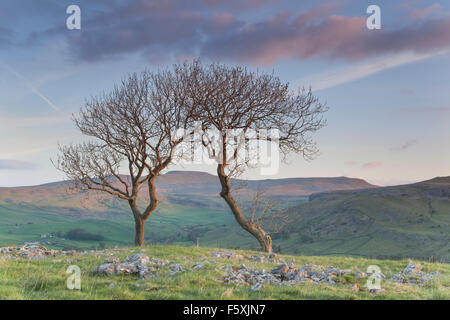 View towards Ingleborough from near Smearsett Scar, Craven District, Yorkshire Dales National Park, North Yorkshire, UK Stock Photo