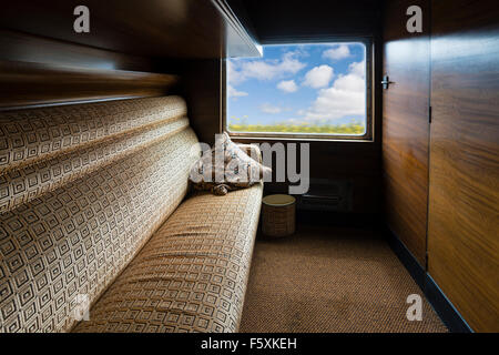 Luxurious vintage train carriage Stock Photo