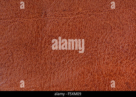brown leather texture Stock Photo