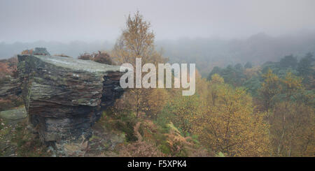 Autumn (October) at Hardcastle Crags near Heptonstall, Calderdale, West Yorkshire, UK Stock Photo