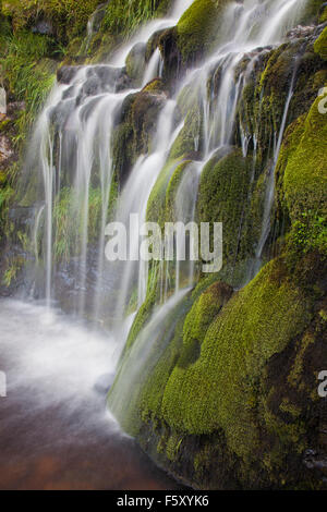 Waterfall at Swinner Gill above the village of Keld, Swaledale, Yorkshire Dales, North Yorkshire, UK Stock Photo