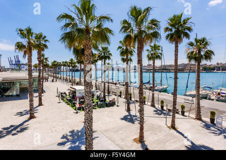 Muelle Uno, Port of Malaga, Malaga, Andalusia, Spain. Quay One of the former commercial harbour precinct has been redeveloped in Stock Photo