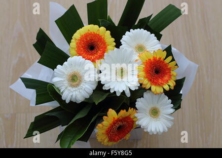 Bouquet of Gerbera flowers Stock Photo