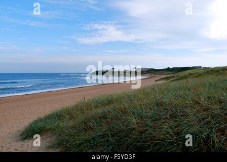 Seaton Sluice beach  from the dunes, near Newcastle, overlooks the North Sea on the coast of North East England Stock Photo