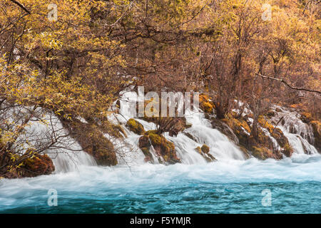 Shuzheng waterfall nature landscape jiuzhaigou scenic in Sichuan, China Stock Photo