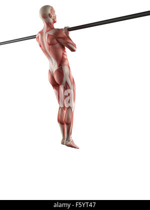 exercise illustration - close grip pull ups Stock Photo