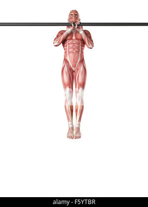 exercise illustration - close grip pull ups Stock Photo