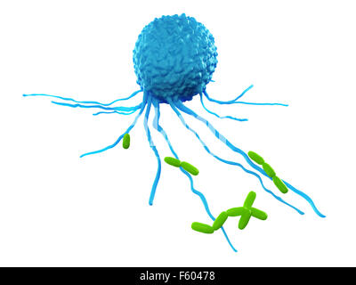 medically accurate illustration of a leucocyte attacking bacteria Stock ...