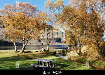 Picnic table by Llyn Geirionydd lake and trees in autumn in Gwydyr Forest Park in Snowdonia National Park (Eryri). Trefriw Conwy Wales UK Britain Stock Photo