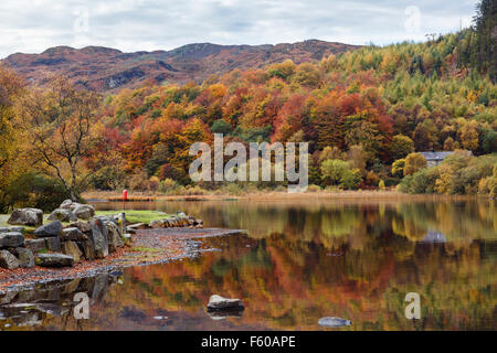 View across Llyn Geirionydd with autumn reflections to Crimpiau and Craig Wen in Gwydyr Forest Park Snowdonia National Park (Eryri) Wales UK Britain Stock Photo