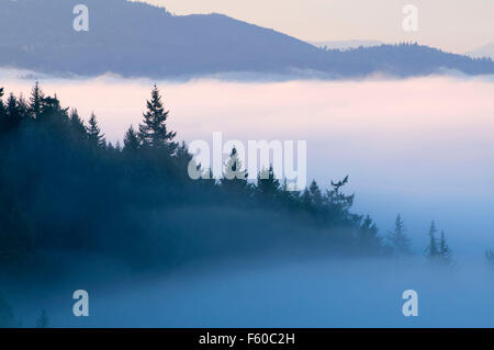 Willamette Valley fog from Mt Pisgah, Howard Buford County Park, Lane County, Oregon Stock Photo